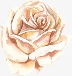 白色手绘的玫瑰花素材