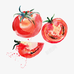 矢量彩绘西红柿抽象彩绘西红柿矢量图高清图片