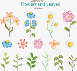 15款水彩绘花卉和叶子素材