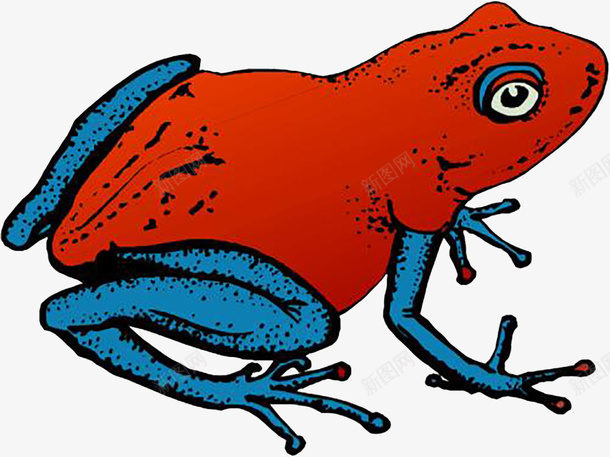 红色皮肤牛蛙png免抠素材_88icon https://88icon.com 卡通牛蛙 卡通红色牛蛙 手绘红色牛蛙 牛蛙 红皮肤牛蛙 红色牛蛙
