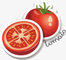 精美蔬菜番茄西红柿矢量图素材