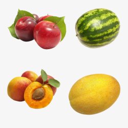 瑗跨摐营养的水果高清图片