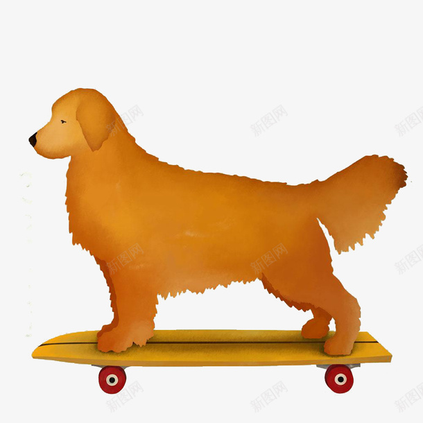 滑滑板的金毛png免抠素材_88icon https://88icon.com 忠诚 手绘 棕色的毛发 滑滑板 狗狗 金毛卡通 黄金猎犬