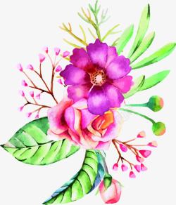 彩色水彩花朵植物节日素材