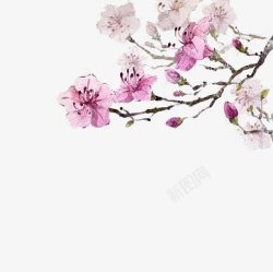 韩国风手绘花朵素材
