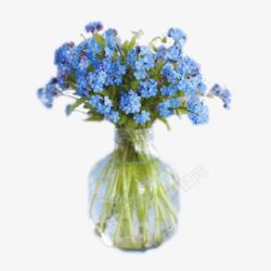 玻璃花品上蓝色的花素材