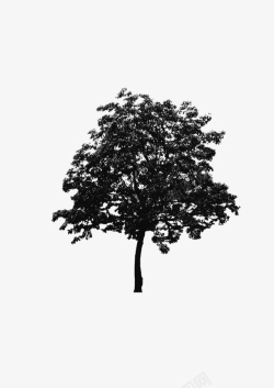 绘画植物树黑白素材