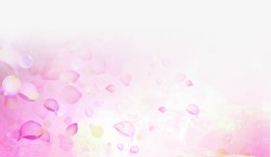 粉色花瓣海报背景背景素材