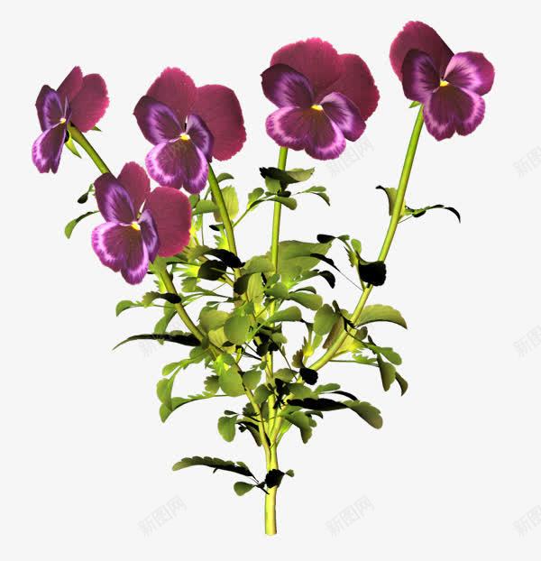 紫色蝴蝶型花朵png免抠素材_88icon https://88icon.com 紫色 花朵 蝴蝶型
