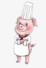 卡通可爱猪厨师素材