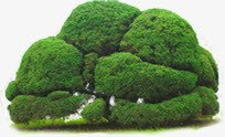 绿色环保乡村园林景观png免抠素材_88icon https://88icon.com 乡村 园林 景观 环保 绿色