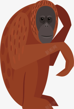 棕色猩猩手绘猩猩矢量图高清图片