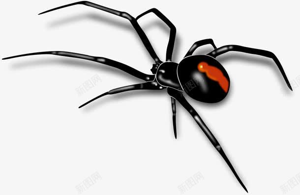 黑色蜘蛛png免抠素材_88icon https://88icon.com 创意设计 图案设计 蜘蛛 黑色