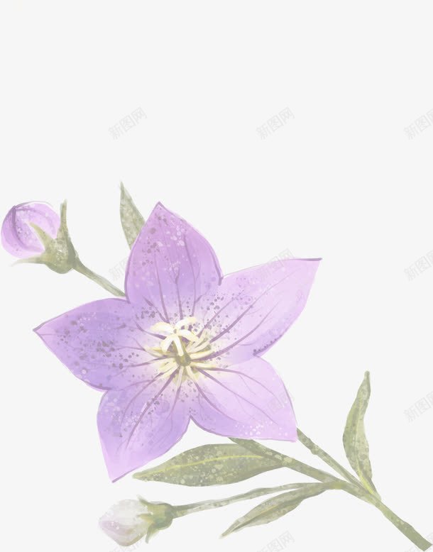 手绘紫色花卉插画png免抠素材_88icon https://88icon.com 插画 素材 紫色 花卉