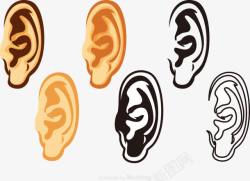 人体听力器官耳朵素材