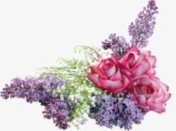 紫色粉色白色花束素材