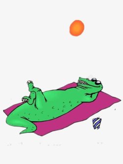 鳄鱼晒太阳素材