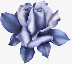 蓝玫瑰装饰蕾丝3素材