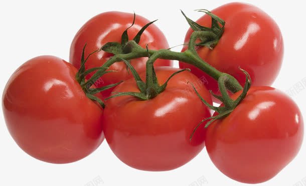 番茄png免抠素材_88icon https://88icon.com 写实 实物 素食 菜 蔬菜 高清