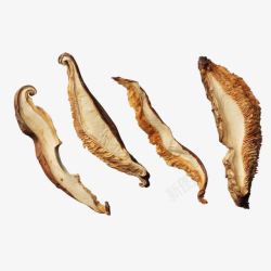 风干的干货鲜菇素材