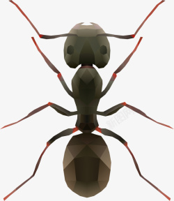 一只黑色大蚂蚁图案素材
