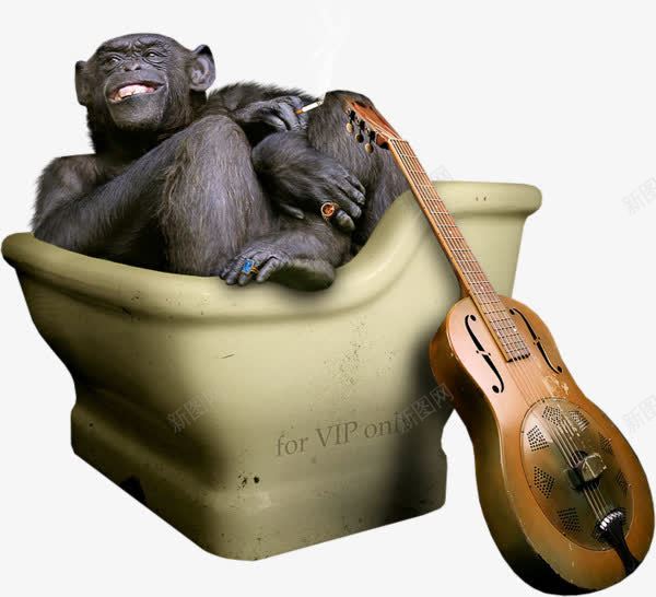 马桶中的大猩猩png免抠素材_88icon https://88icon.com png 大提琴 大猩猩 马桶中