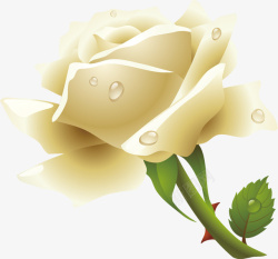 花花朵白花淘宝玫瑰素材