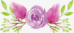 水彩紫色玫瑰标题框矢量图素材