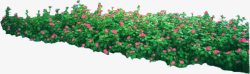 粉色小花绿叶植物装饰素材