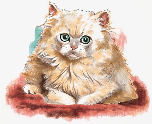 手绘宠物猫png免抠素材_88icon https://88icon.com 可爱 宠物猫 手绘 毛绒