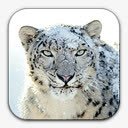 雪豹系统png免抠素材_88icon https://88icon.com leopard snow 豹 雪