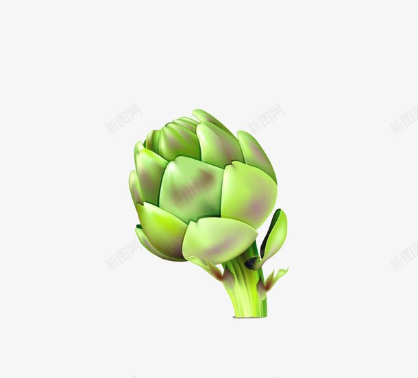 绿色植物花蕾png免抠素材_88icon https://88icon.com 卡通 可爱 嫩芽 手绘 植物 花蕾