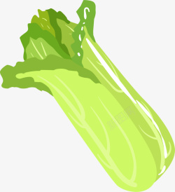 绿色白菜吃货节矢量图素材