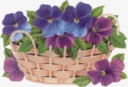 手绘蓝紫色花朵花篮素材
