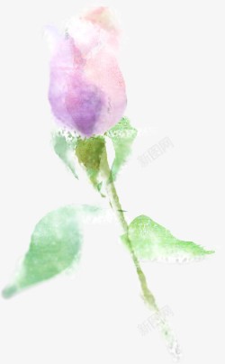 粉紫色手绘水彩花苞素材