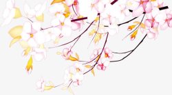中秋节手绘粉花和黄花素材
