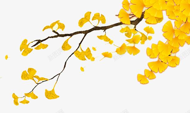 黄色树枝叶子装饰psd免抠素材_88icon https://88icon.com 叶子 树枝 装饰 黄色 黄色叶子 黄色树枝叶子装饰