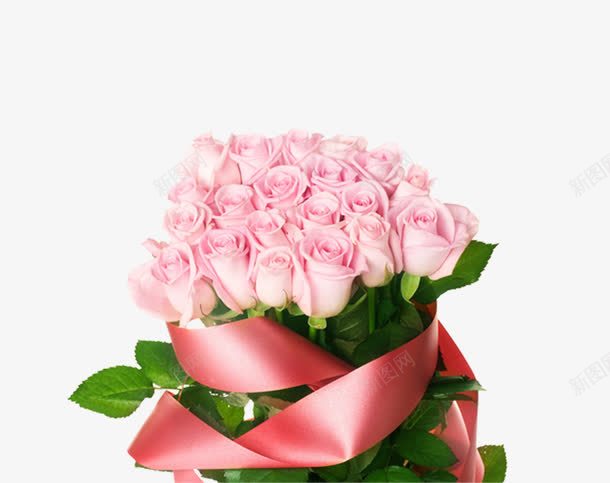 粉色玫瑰png免抠素材_88icon https://88icon.com 玫瑰 玫瑰花 粉色玫瑰 香槟玫瑰
