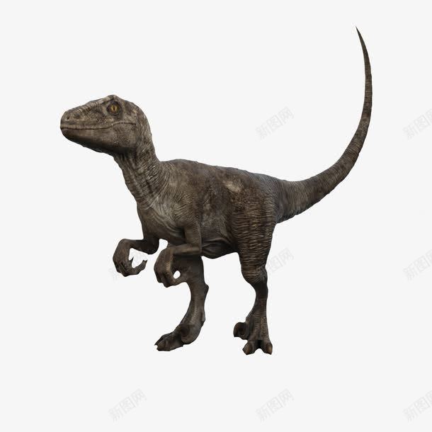利爪3D恐龙png免抠素材_88icon https://88icon.com 动物 恐龙 肉食动物