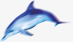 夏日海报卡通手绘蓝色鲸鱼素材