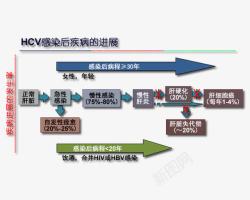 感染肝炎关系图素材