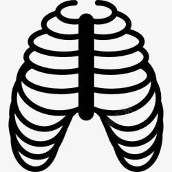 人类肋骨肋骨骨图标高清图片