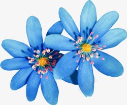 手绘蓝色复古花朵花蕊素材