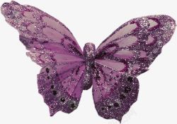 紫蝴蝶素材