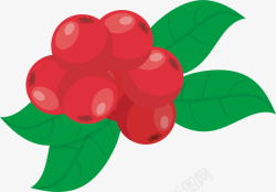 反光水彩红色蔓越莓素材