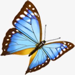 蓝色蝴蝶背景素材