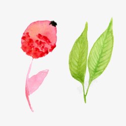 手绘水彩树叶花卉装饰图案素材
