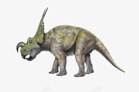 带角恐龙png免抠素材_88icon https://88icon.com 动物 巨型 带角 恐龙