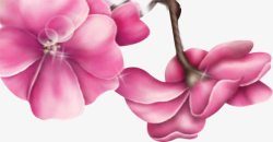 中秋节手绘粉色梦幻花朵素材