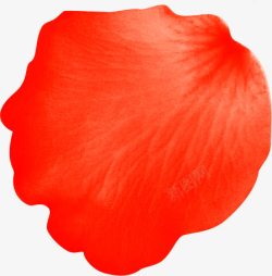 红色花瓣摄影表面素材